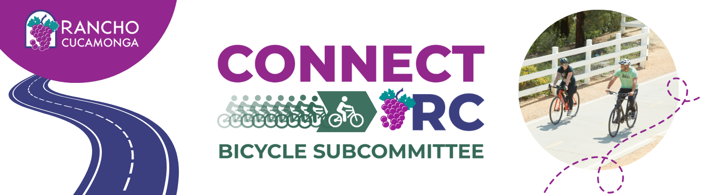 Connect RC Bicycle Subcommittee