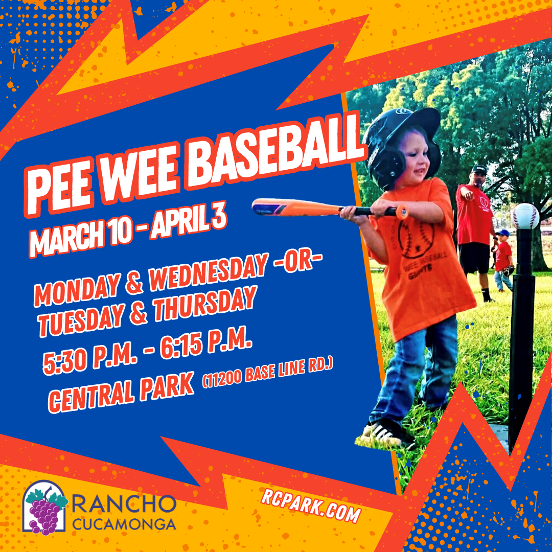 pee wee baseball 2025 graphic and photo