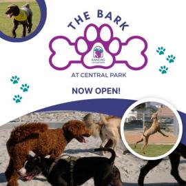 Bark at the Park - Animal Rescue Foundation