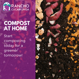 Composting At Home