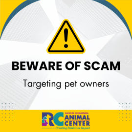 Pet Scam Beware