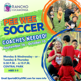 Pee Wee Soccer Coaches