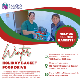 Winter Holiday Basket