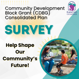 CDBG Consolidate Plan Survey