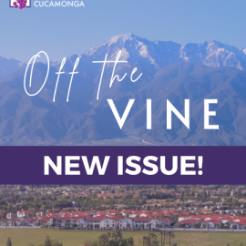 Off the Vine Newsletter