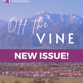 Snow capped mountain and off the vine newsletter